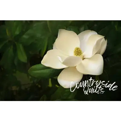 Magnolia Panel 16in x 14in