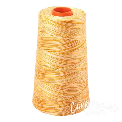 Mako Cotton Embroidery Thread 50wt 6452yds Variegated Limoni di Monterossi