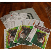 Margot the Boxer Pattern PT003