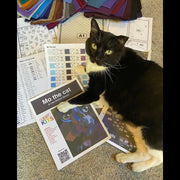 Mo the Cat Quilt Kit QK005