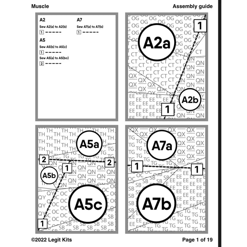 Muscle Pattern PT040