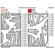 Muscle Pattern PT040