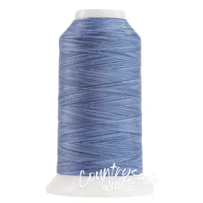 Omni Variegated Polyester Thread 40wt 2000yd Baby Benjamin