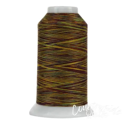 Omni Variegated Polyester Thread 40wt 2000yd Bazaar