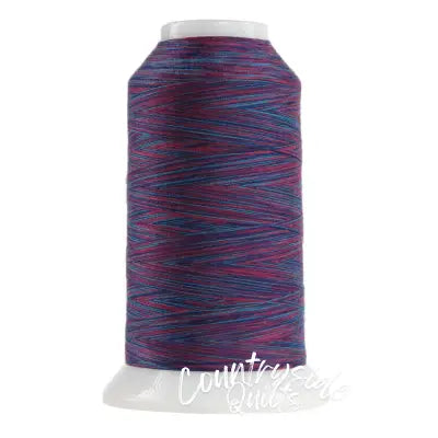 Omni Variegated Polyester Thread 40wt 2000yd Berry Smoothie