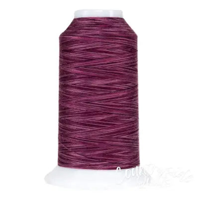 Omni Variegated Polyester Thread 40wt 2000yd Bumbleberry