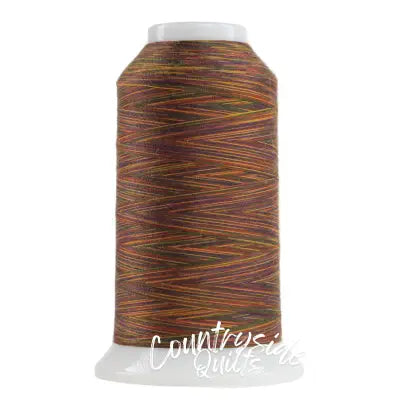Omni Variegated Polyester Thread 40wt 2000yd Byzantine