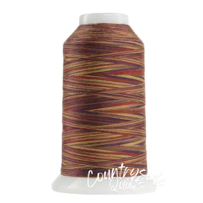 Omni Variegated Polyester Thread 40wt 2000yd Chenille