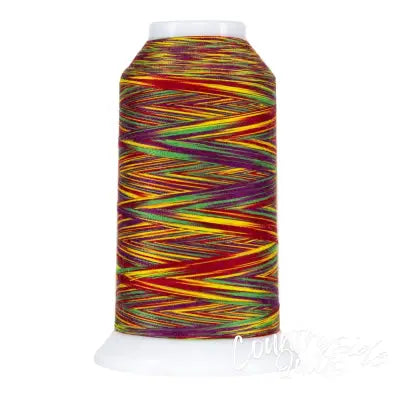 Omni Variegated Polyester Thread 40wt 2000yd Circus