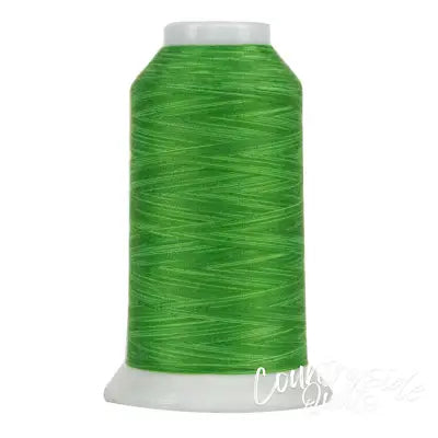 Omni Variegated Polyester Thread 40wt 2000yd Fresh Green