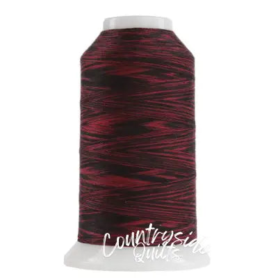 Omni Variegated Polyester Thread 40wt 2000yd Ladybug