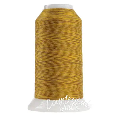 Omni Variegated Polyester Thread 40wt 2000yd Leo the Lion