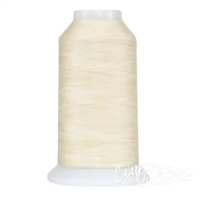 Omni Variegated Polyester Thread 40wt 2000yd Malibu