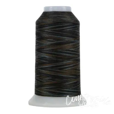 Omni Variegated Polyester Thread 40wt 2000yd Mt. Timpanogos