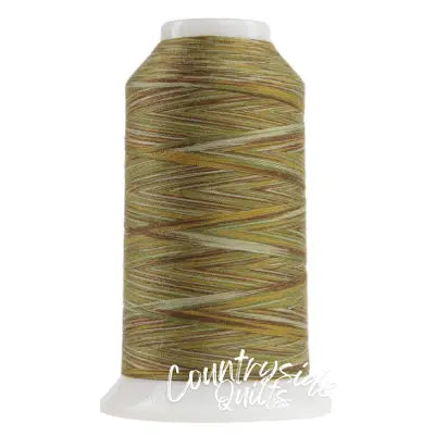 Omni Variegated Polyester Thread 40wt 2000yd Multigrain