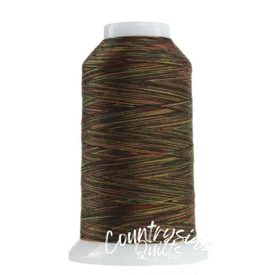 Omni Variegated Polyester Thread 40wt 2000yd Nebuchadnezzar
