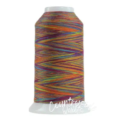 Omni Variegated Polyester Thread 40wt 2000yd Ole