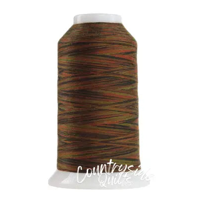 Omni Variegated Polyester Thread 40wt 2000yd Ottoman
