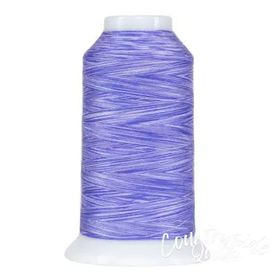 Omni Variegated Polyester Thread 40wt 2000yd Paisley Purple