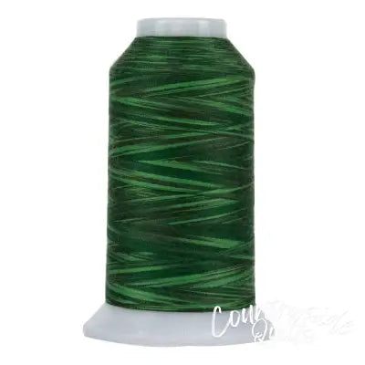 Omni Variegated Polyester Thread 40wt 2000yd Philodendron