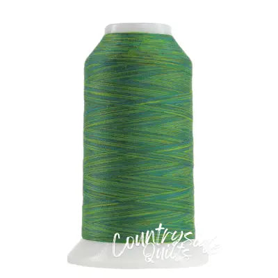 Omni Variegated Polyester Thread 40wt 2000yd Rolling Hills