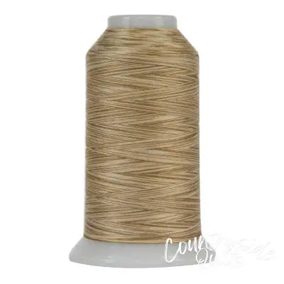 Omni Variegated Polyester Thread 40wt 2000yd Sandy Beach