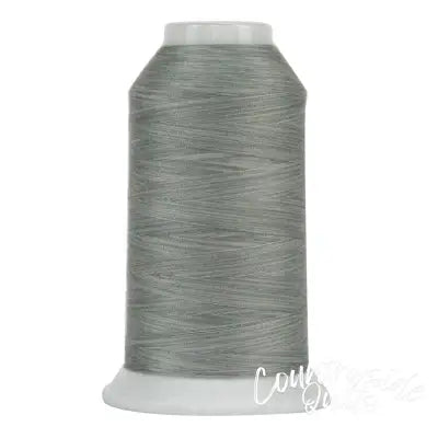 Omni Variegated Polyester Thread 40wt 2000yd Silver Reef