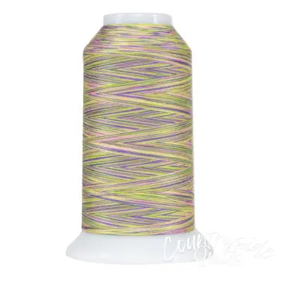 Omni Variegated Polyester Thread 40wt 2000yd Victoria