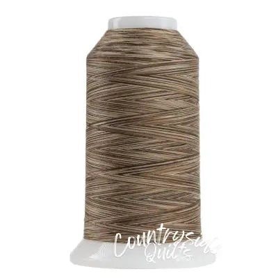 Omni Variegated Polyester Thread 40wt 2000yd Would Chuck Wood