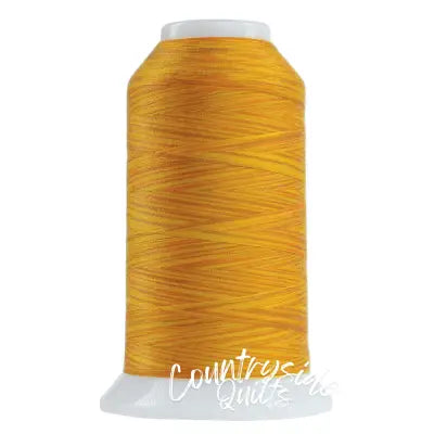 Omni Variegated Polyester Thread 40wt 2000yd Zenith