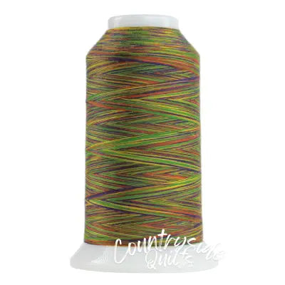 Omni Variegated Polyester Thread 40wt 2000yd Zumba