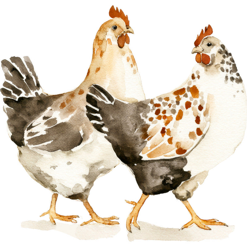 Rustic Barnyard Birds Fabric Panel 66