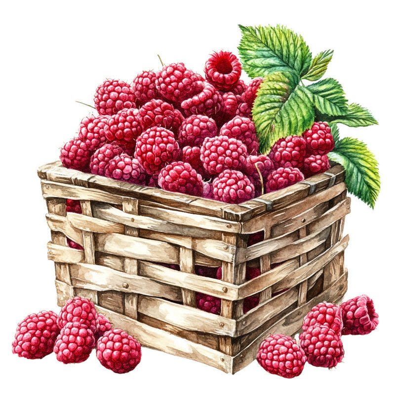 Raspberry Gardens Fabric Panel 12