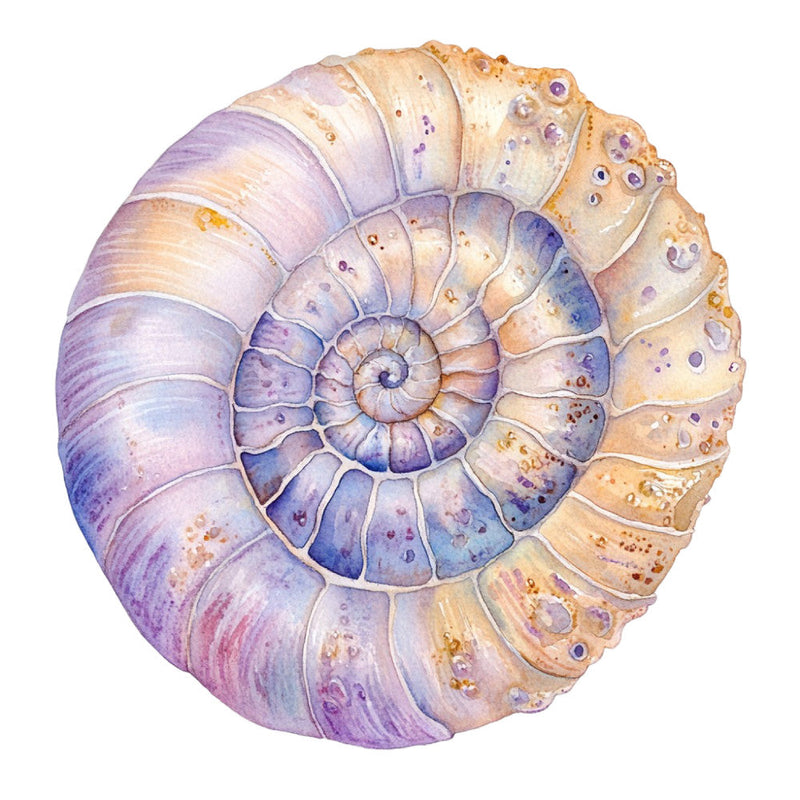 Watercolor Sea Shells Fabric Panel 14