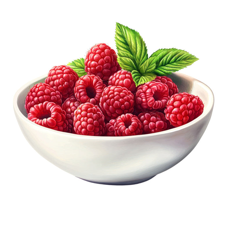 Raspberry Gardens Fabric Panel 35