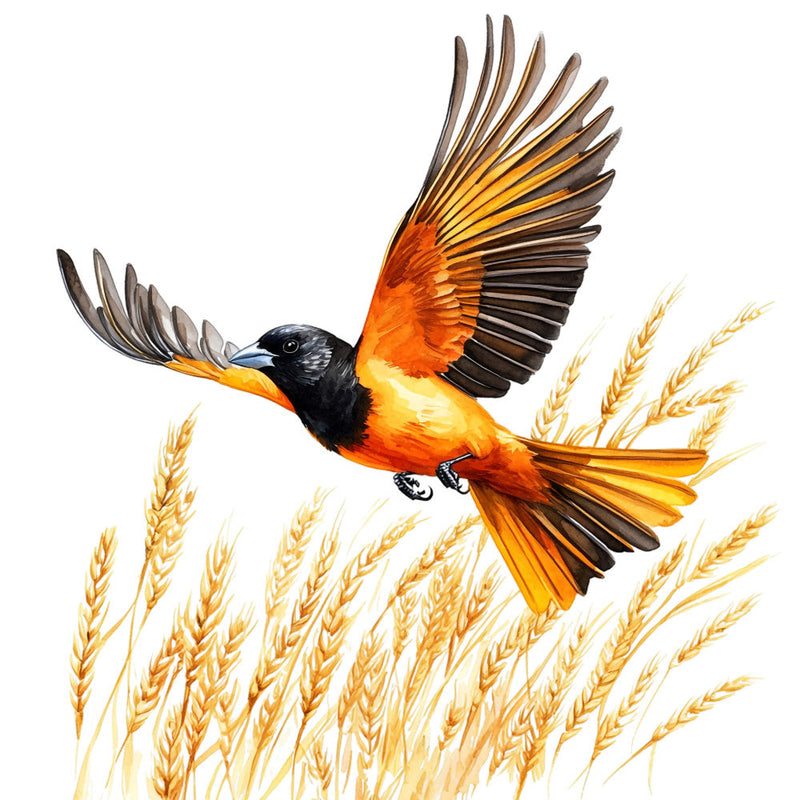 Baltimore Oriole Fabric Panel 14