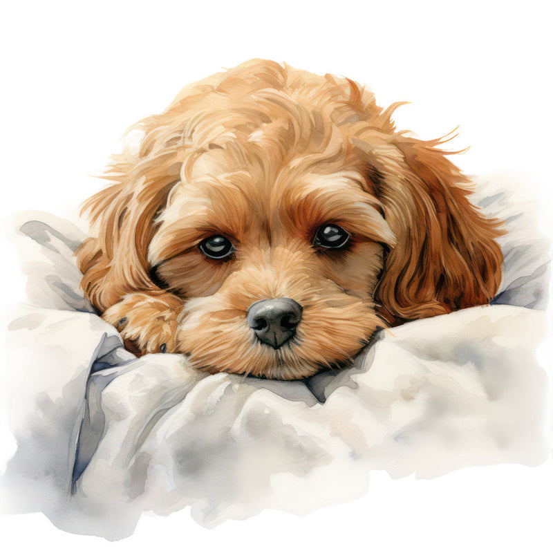 Cute Cavapoos Fabric Panel 6