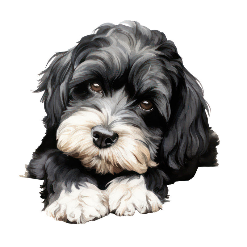 Cute Cavapoos Fabric Panel 51