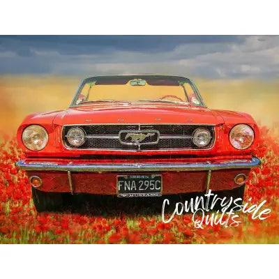 Red Mustang Panel 24in x 18in