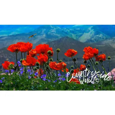 Red Poppies Panel 23.1in x 13in