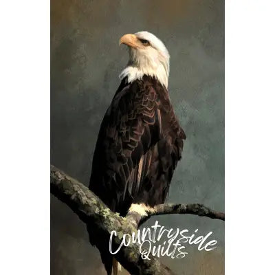 Regal Bald Eagle Panel 13.5in x 22.5in