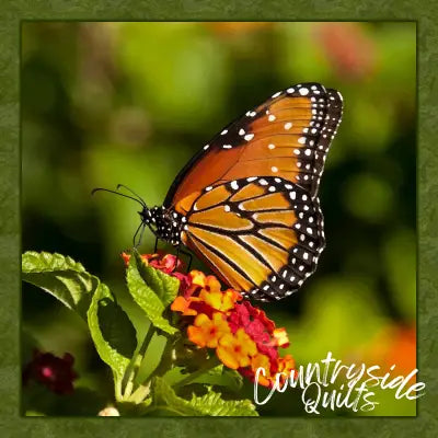 Single Monarch Panel 17in x 17in