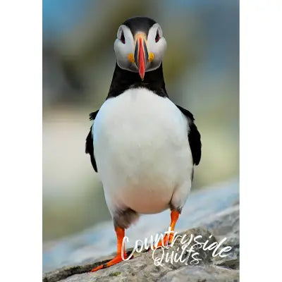 Single Puffin Panel 14in x 20in