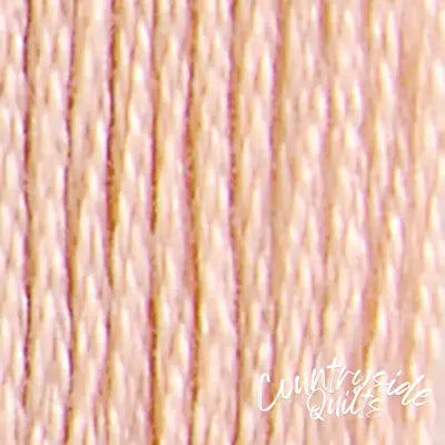 Six Strand Floss Cone 2279yds 500G Light Alizarin