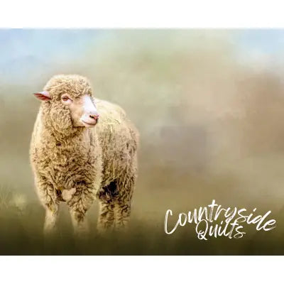 Solitary Sheep Panel 20in x 16in