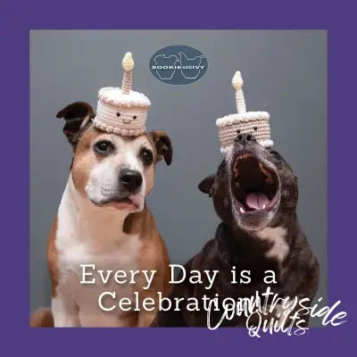 Sookie and Ivy Every Day Is a Celebration