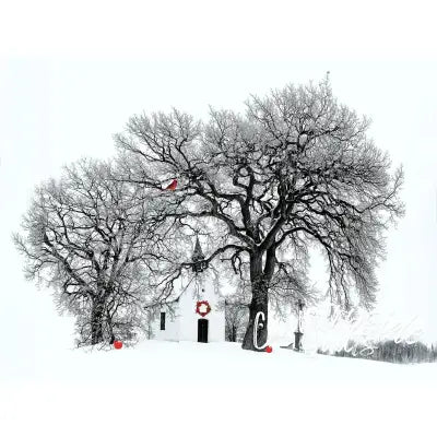 A Spash of Holiday Color Panel 24in x 18in