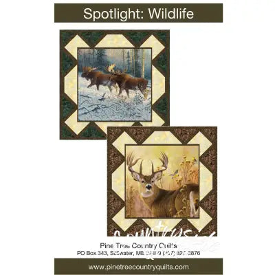 Spotlight: Wildlife
