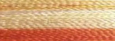 Super Strength Rayon Embroidery Thread 40wt 3200yds Variegated 3CC Orange
