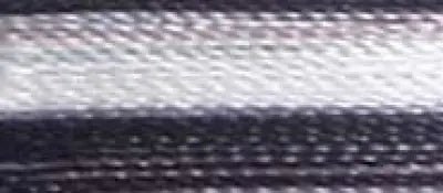 Super Strength Rayon Embroidery Thread 40wt 3200yds Variegated 3CC Gray